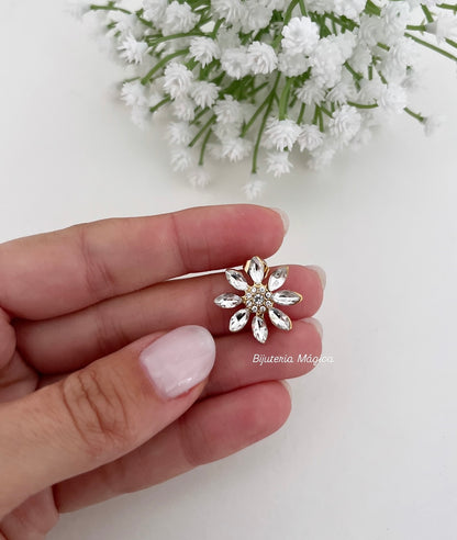 Brincos Flor Brilho em Aço