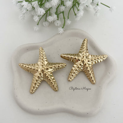 Brincos Estrela do Mar Elegance em Aço Inoxidável